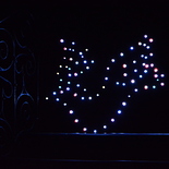 Spiritueller Abschluss in der Stiftskirche - Taube - Symbol für den Hl. Geist